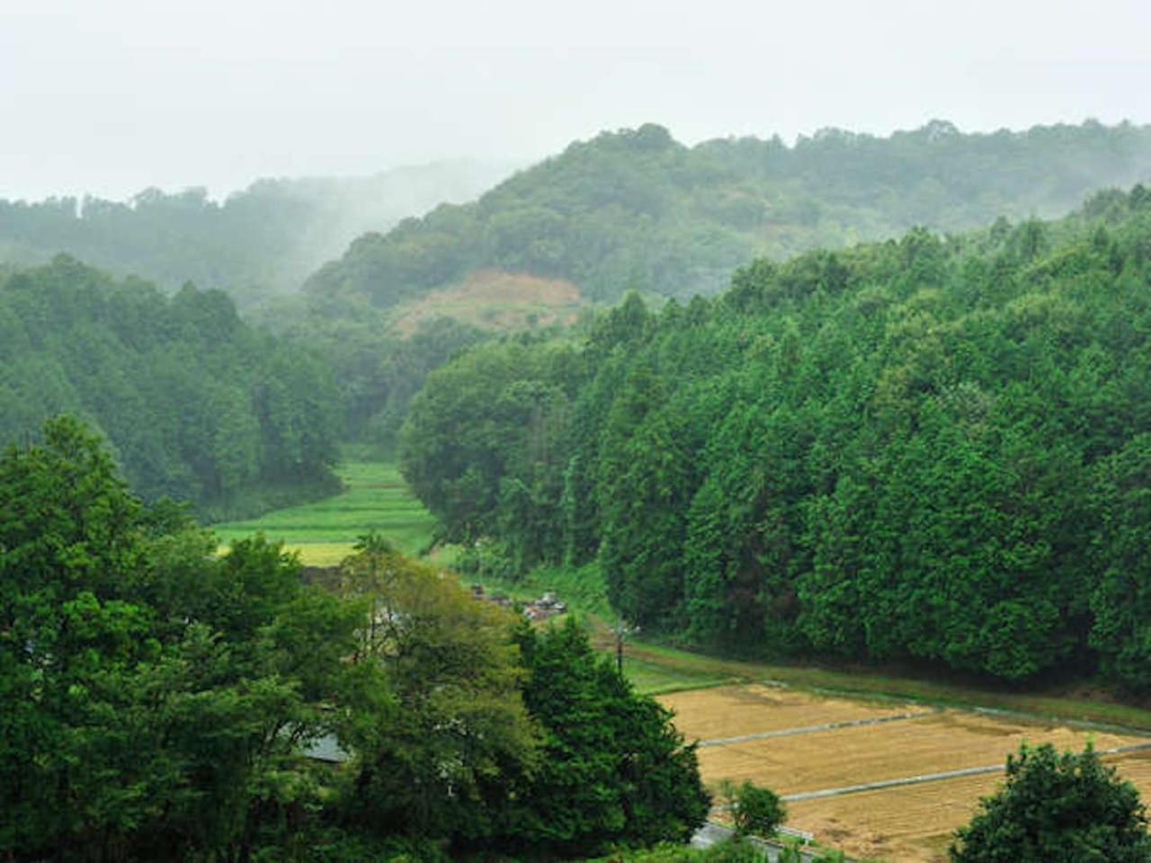 Mashikokan Satoyama Resort Hotel Екстериор снимка